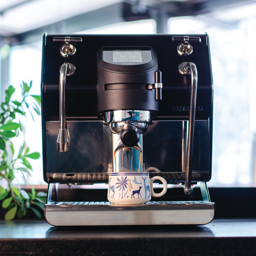 80% Arabica - 20% Robusta Roasted Coffee Beans Premium Blend