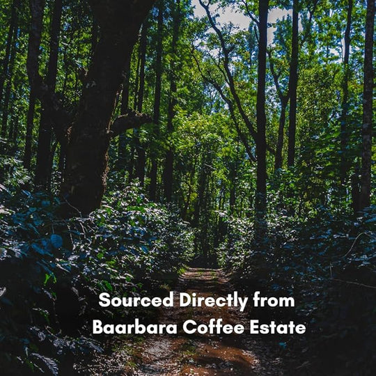 Mix Fruit Fermented Coffee Beans
