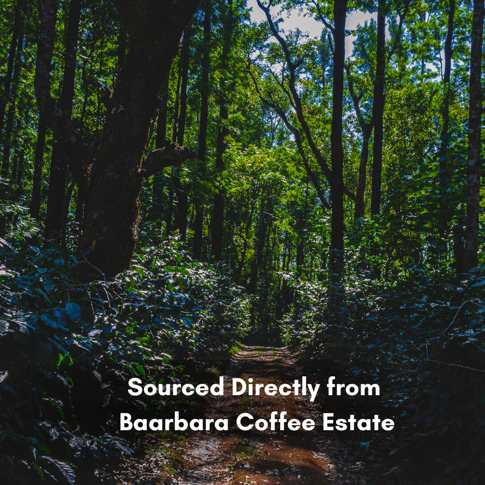 Naturals Roasted Coffee Beans