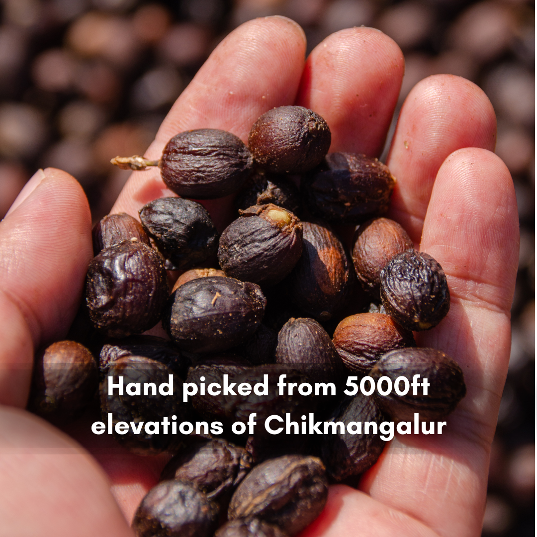 Honey Sun Dried Roasted Coffee Beans