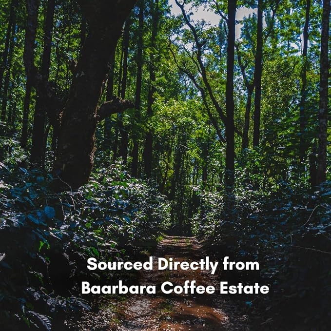 Whiskey Barrel Aged Roasted Coffee Beans