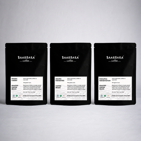 Fermented Fruit Series Sample Packet (Pack of 3)