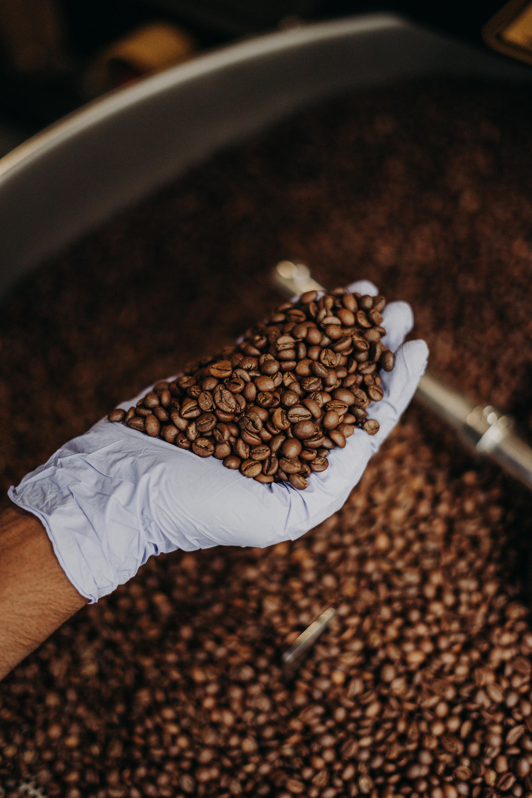 Blend Jala / ಬ್ಲೆಂಡ್ ಜಲ / ब्लेंड जल